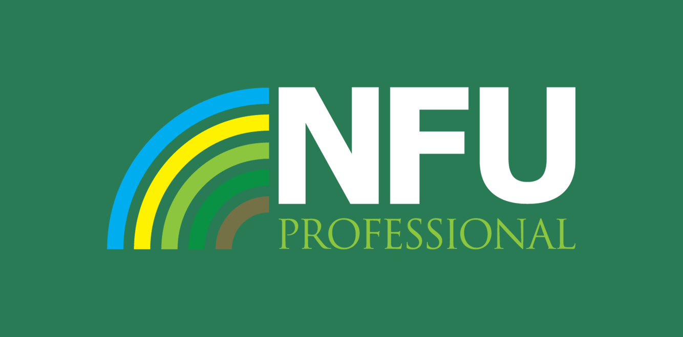 Logo 3